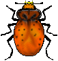 Lady Bug Picnic
